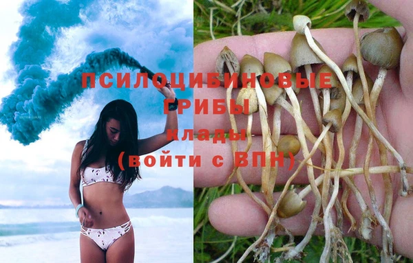 амфетамин Белокуриха