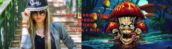 гашик Беломорск