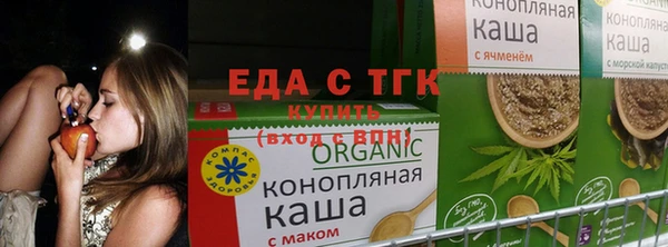 гашик Беломорск